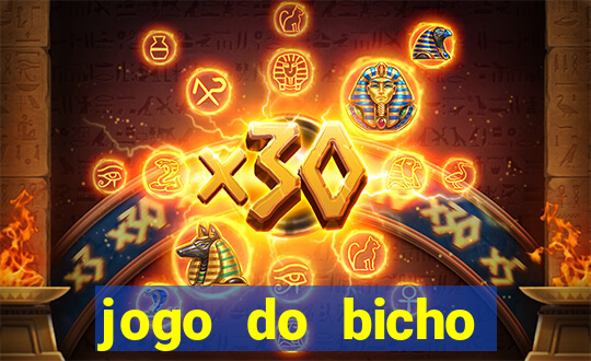 jogo do bicho crash bingo