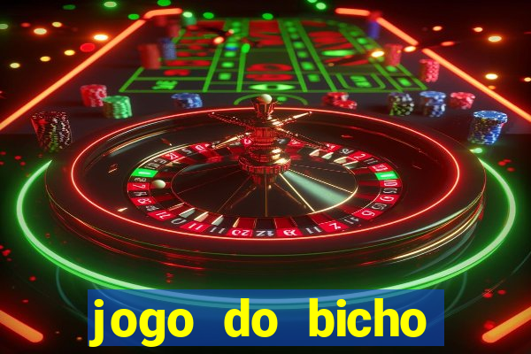 jogo do bicho crash bingo