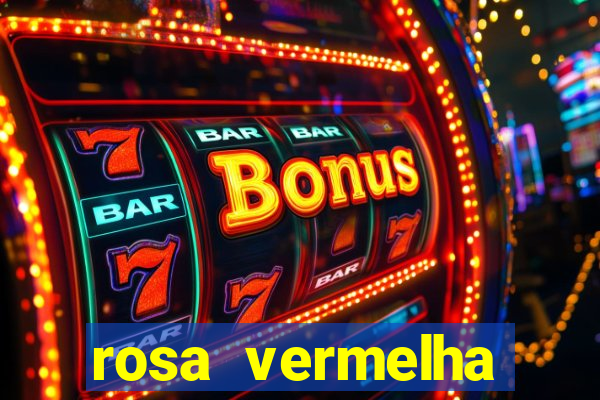 rosa vermelha (letra e cifra)