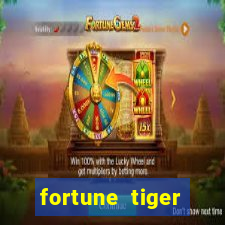 fortune tiger plataforma nova