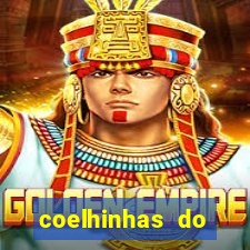 coelhinhas do brasil site