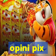 opini pix