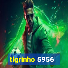 tigrinho 5956