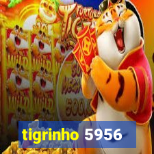 tigrinho 5956