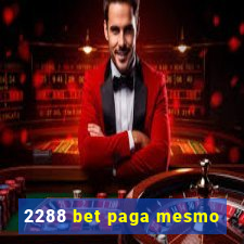 2288 bet paga mesmo