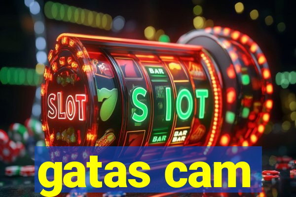 gatas cam