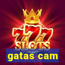 gatas cam