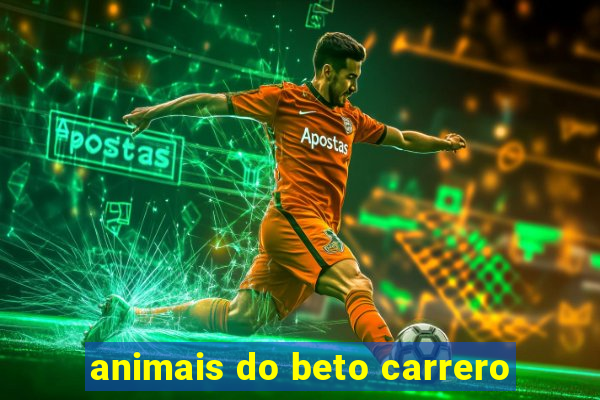 animais do beto carrero