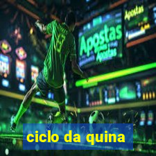 ciclo da quina