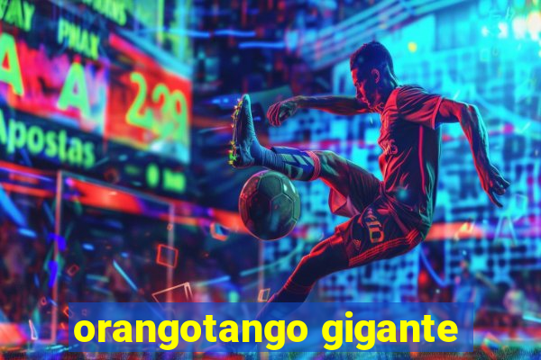 orangotango gigante