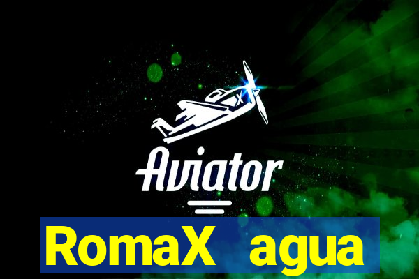 RomaX agua sanitaria fispq agua sanitaria romax