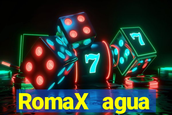 RomaX agua sanitaria fispq agua sanitaria romax