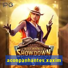 aconpanhantes xaxim