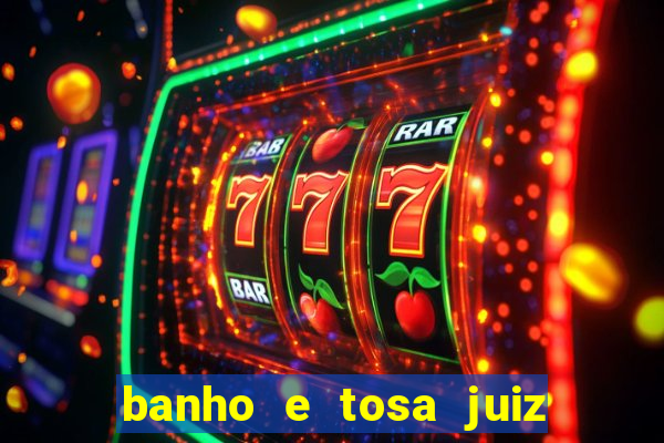 banho e tosa juiz de fora