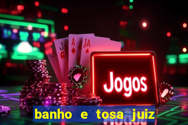 banho e tosa juiz de fora