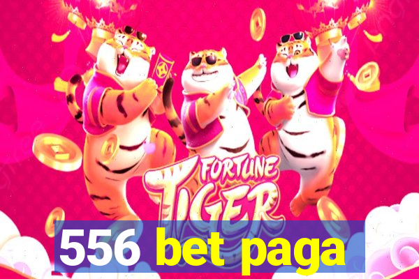 556 bet paga