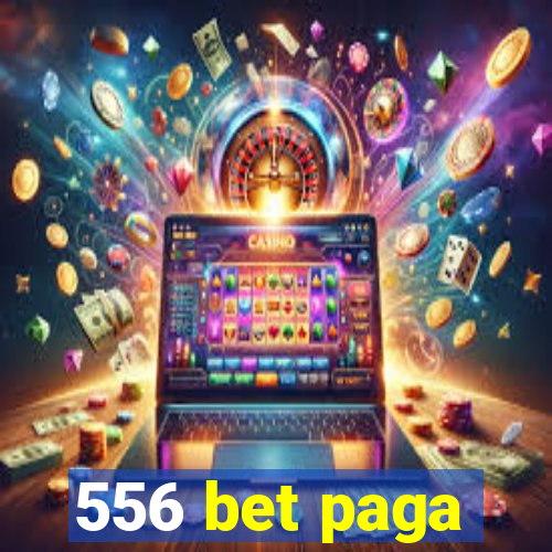 556 bet paga