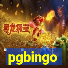 pgbingo