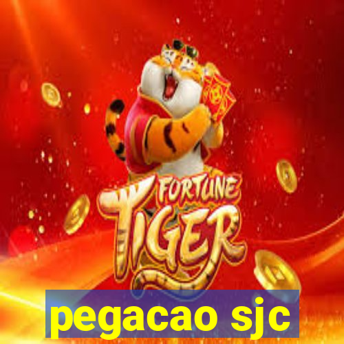 pegacao sjc