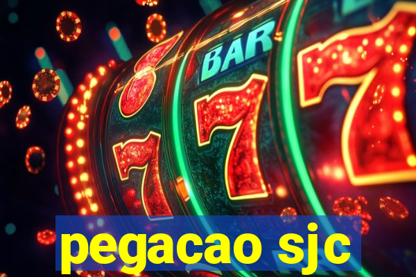 pegacao sjc