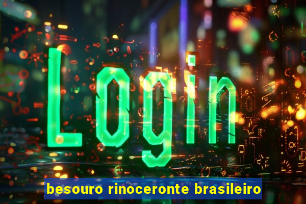 besouro rinoceronte brasileiro