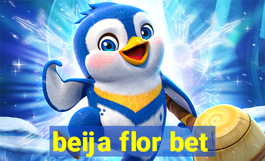 beija flor bet