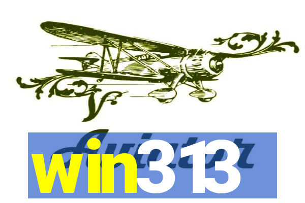 win313