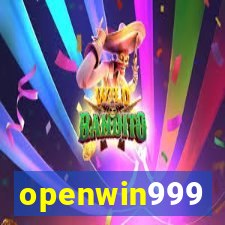 openwin999