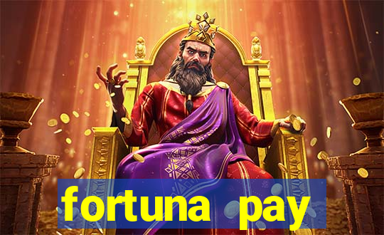 fortuna pay consultoria financeira ltda