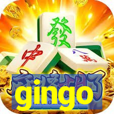 gingo