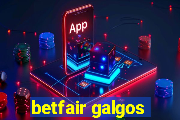 betfair galgos