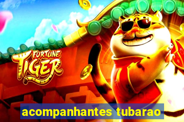 acompanhantes tubarao