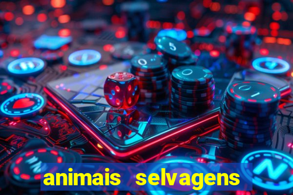 animais selvagens fotos e nomes