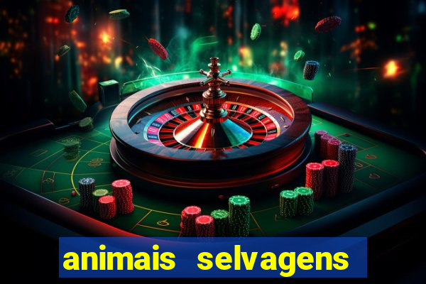 animais selvagens fotos e nomes