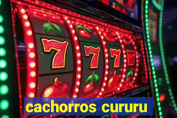 cachorros cururu