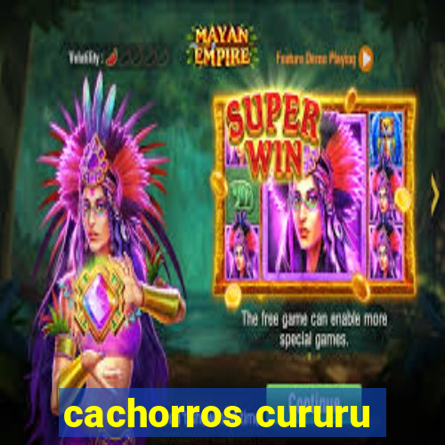 cachorros cururu