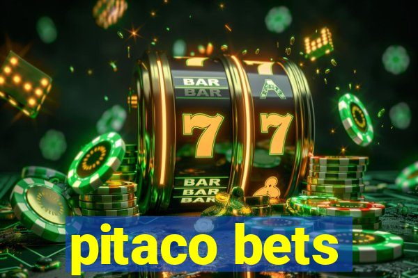 pitaco bets