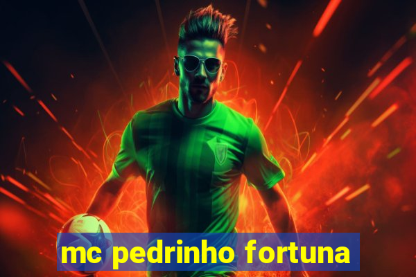 mc pedrinho fortuna