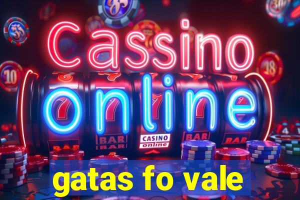 gatas fo vale