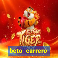 beto carrero cidades proximas