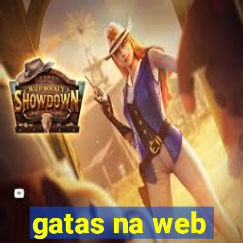 gatas na web