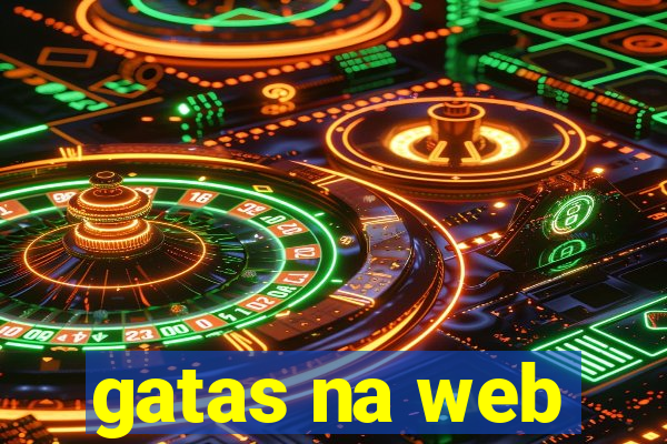 gatas na web