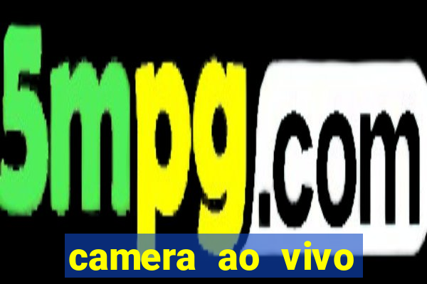 camera ao vivo terminal vila nova cachoeirinha