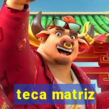 teca matriz