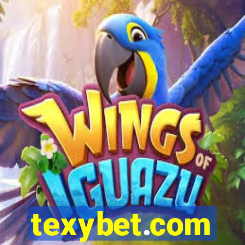 texybet.com