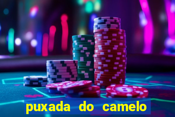 puxada do camelo no jogo do bicho