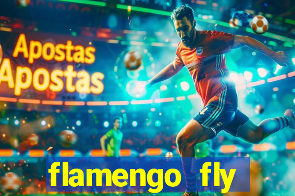 flamengo fly emirates ultimas noticias