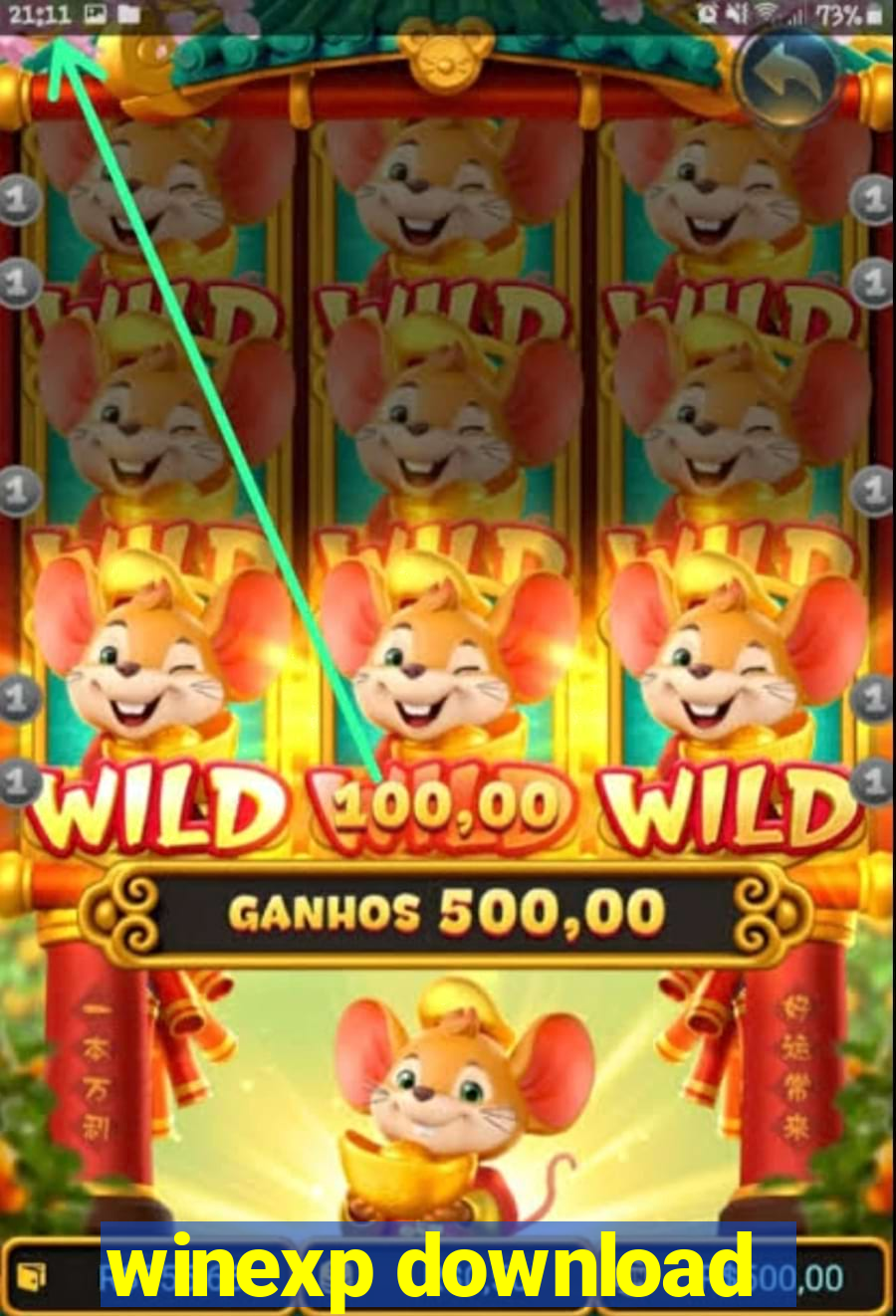 winexp download