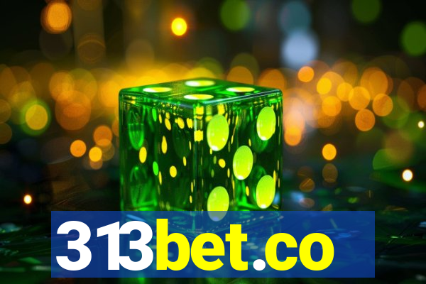 313bet.co